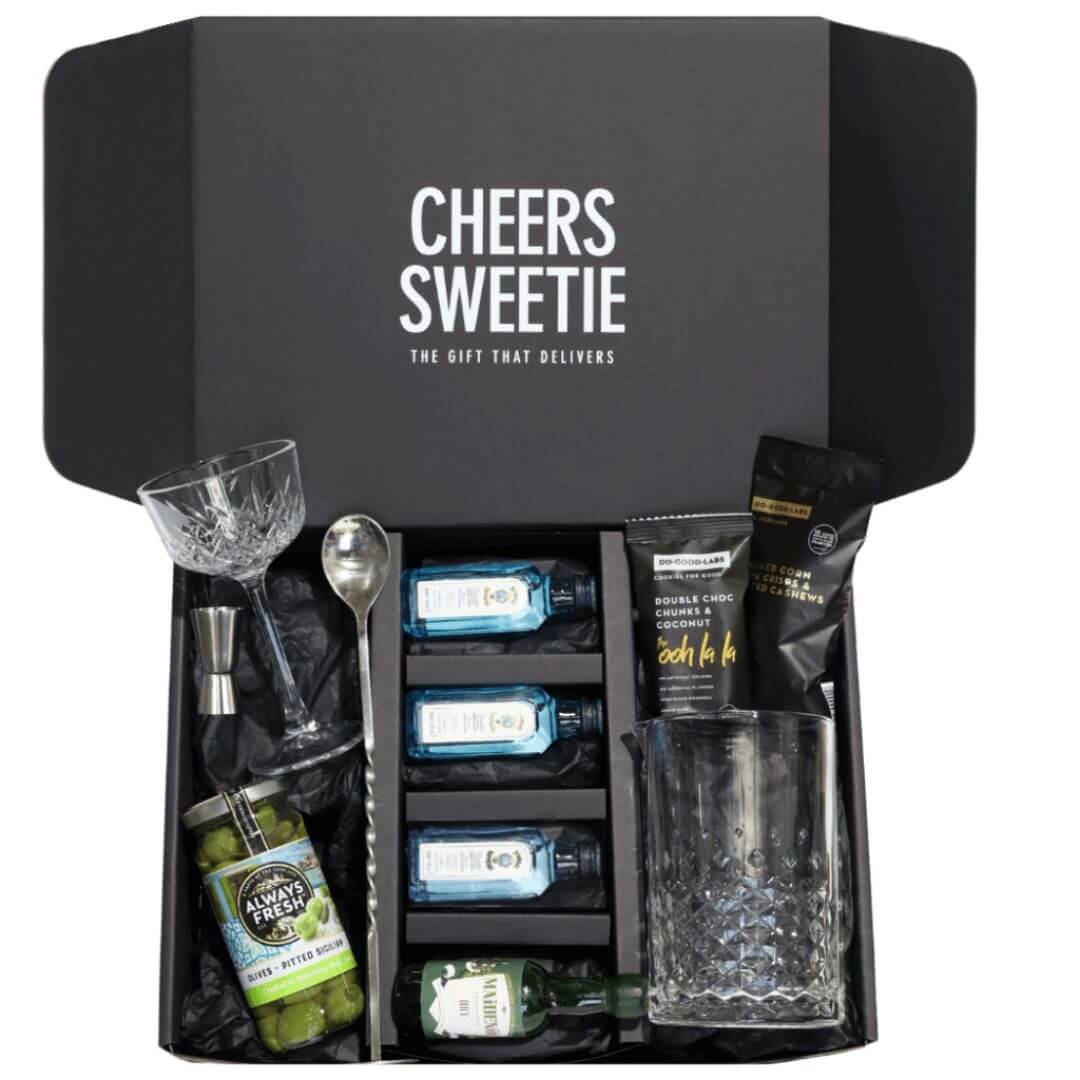 Martini Cocktail Kit Gift Hamper